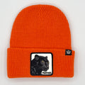 Cappellino Goorin Bros Panther