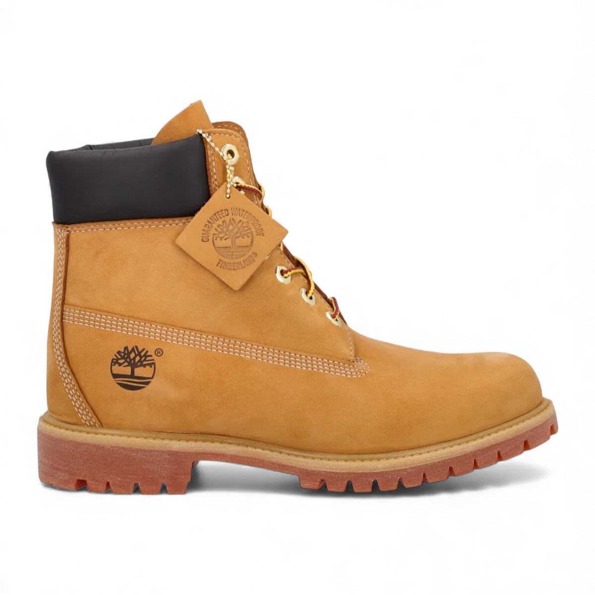 Timberland Classic 6 Marrone chiaro Waterproof