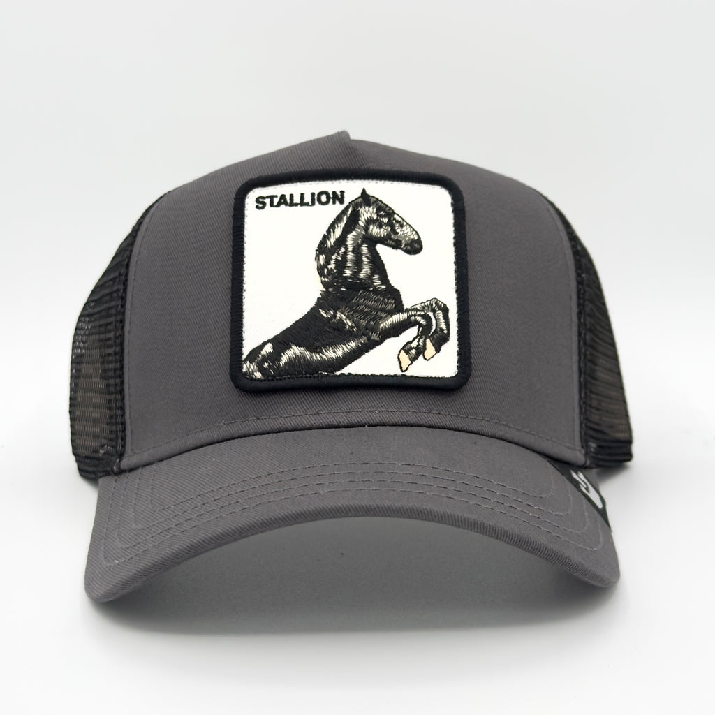 Goorin Bros King cap