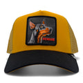 Cappellino Goorin Bros Beware