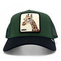 Cappellino Goorin Bros High