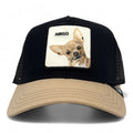 Cappellino Goorin Bros Amigo