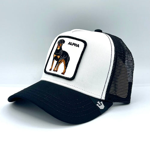 Cappellino Goorin Bros Alpha