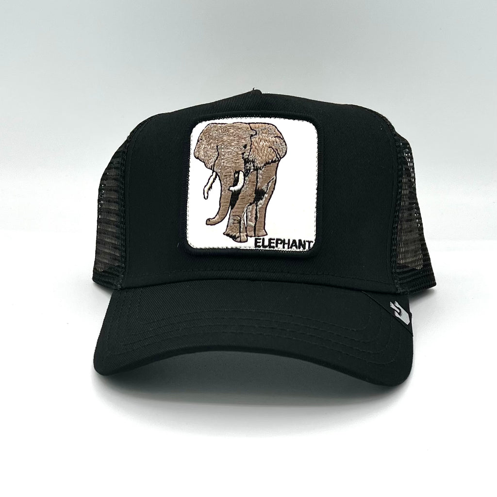 Goorin Bros King cap