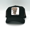 Goorin Bros King cap