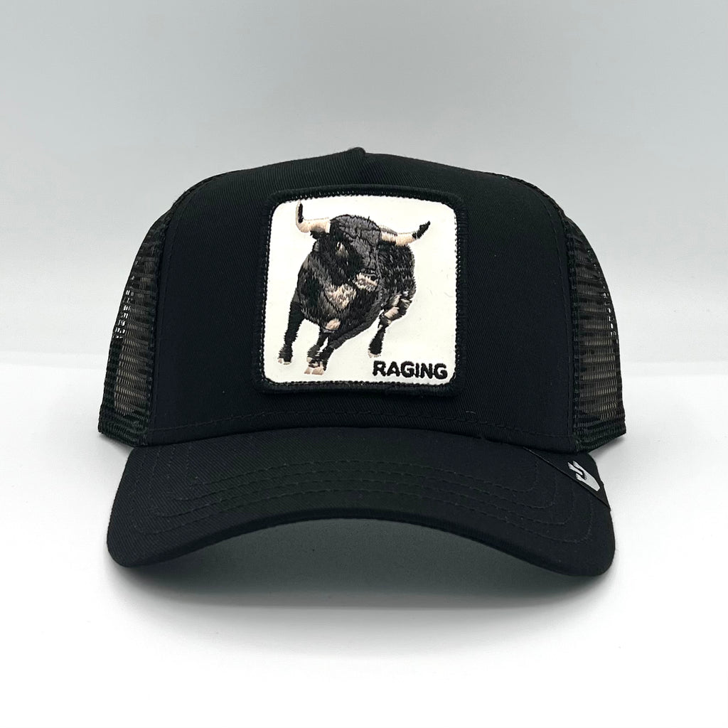 Goorin Bros King cap