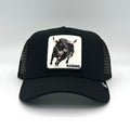 Goorin Bros King cap