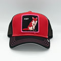 Goorin Bros Hard cap