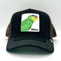 Goorin Bros Perico cap