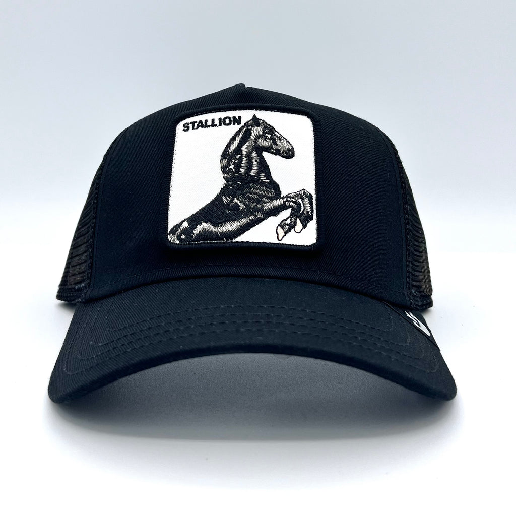 Cappellino Goorin Bros Stallion