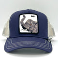 GOORIN BROS Baby cap